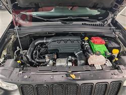 جيب رينيجيد